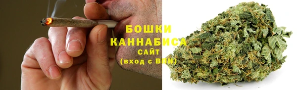 МДПВ Рославль