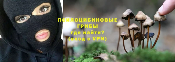 МДПВ Рославль