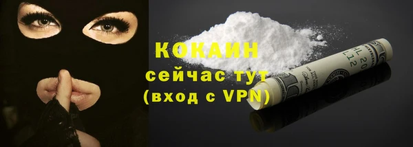 МДПВ Рославль
