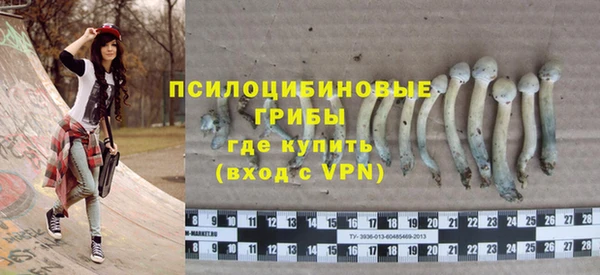 МДПВ Рославль