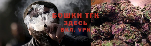 МДПВ Рославль