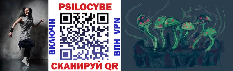 omg ссылка  Чухлома  Галлюциногенные грибы мицелий 